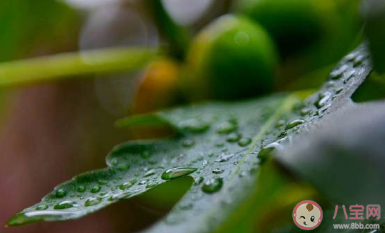 每天下雨该怎么发朋友圈 天天下雨好烦的朋友圈说说
