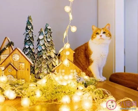 圣诞节温馨唯美说说2019 圣诞节微信朋友圈说说大全 圣诞节温馨唯美说说2019 圣诞节微信朋友圈说说大全