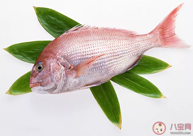 经期怎么吃营养又瘦身 月经期间饮食注意事项 经期怎么吃营养又瘦身 月经期间饮食注意事项