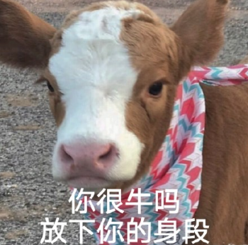 你很身段吗?放下你的牛是什么意思 你很身段吗?放下你的牛梗的出处是什么