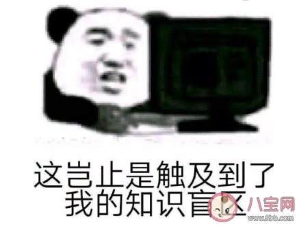 涉及你知识盲区的事情有哪些 你遇到过哪些知识盲区