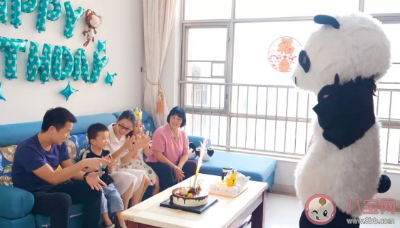 熊猫不走蛋糕是哪里的  熊猫不走蛋糕是用动物奶油吗