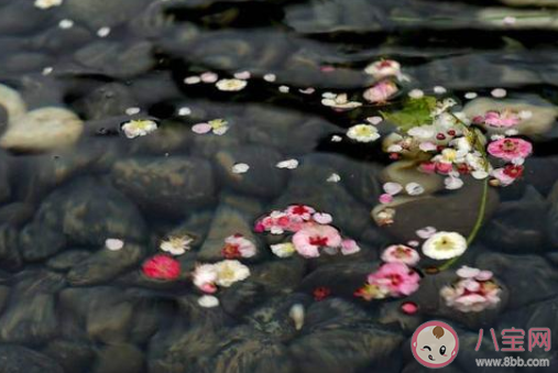 谁还在山外小楼,空等雨落是什么歌 《花雨落》完整版歌词在线听歌