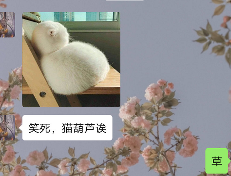 快速把人气到的新方法 聊天中的气人对话图 快速把人气到的新方法 聊天中的气人对话图