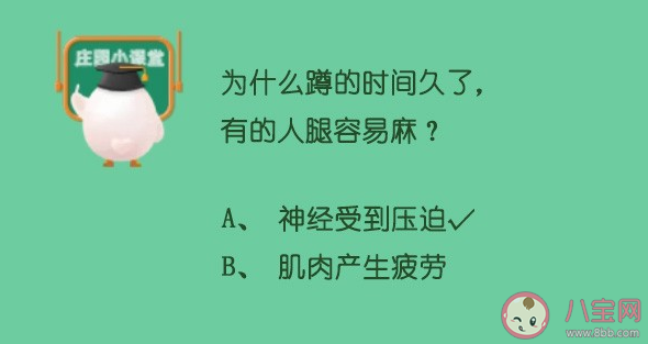 为什么蹲的时间久了腿容易麻 蚂蚁庄园5月14日答案最新