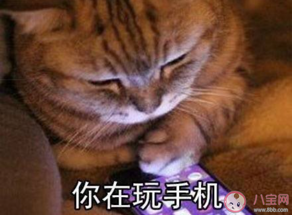 妈妈神一样的逻辑有哪些 妈妈日常生活中无法理解的神逻辑 妈妈神一样的逻辑有哪些 妈妈日常生活中无法理解的神逻辑