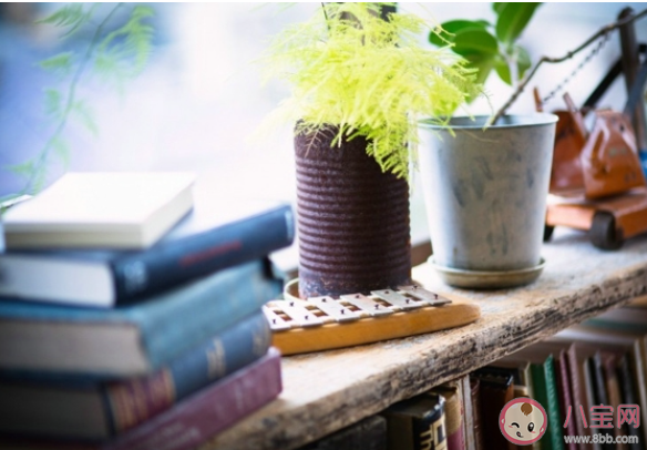 3.8妇女节文艺祝福语说说大全 2020妇女节的祝福语精选文案