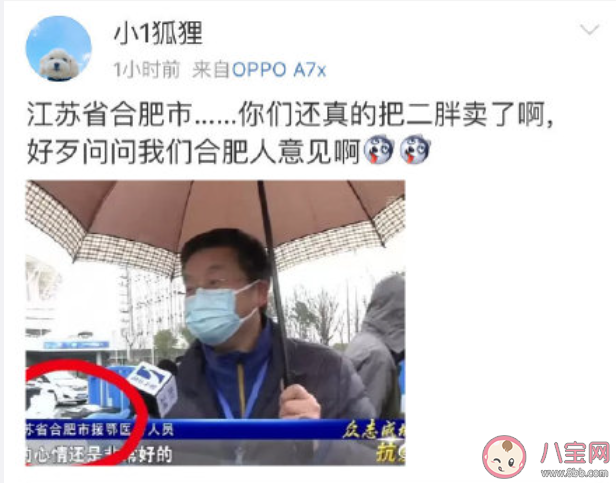 湖北卫视江苏省合肥市是什么梗 江苏省合肥市是什么意思