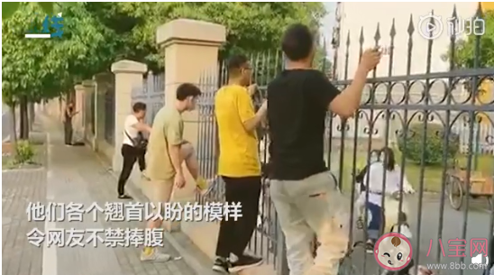 铁皮一焊爱情就断是什么梗 铁皮一焊爱情就断梗的出处是什么
