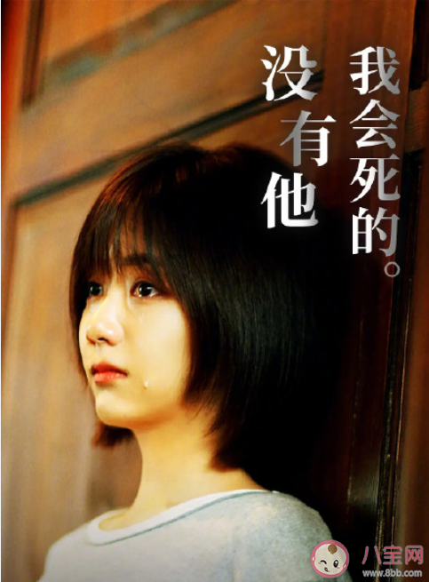 《八月未央》影评观后感美篇 看《八月未央》感受影评大全