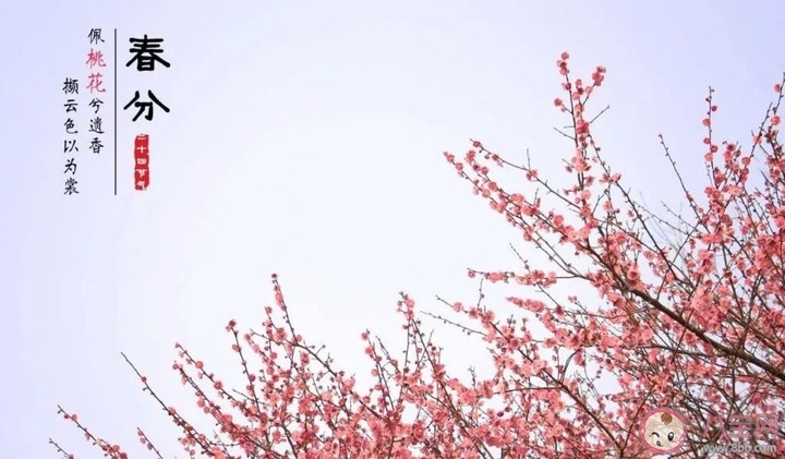2020春分节气微信文案说说 春分节气发朋友圈句子