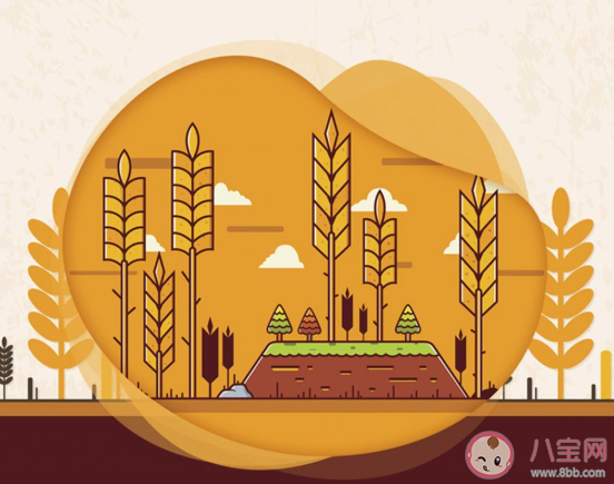 2020芒种节气文案配图 2020芒种节气很火的朋友圈文案