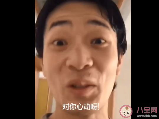 喝了脉动吃了果冻忍不住对你心动是什么梗 喝了脉动吃了果冻忍不住对你心动出处