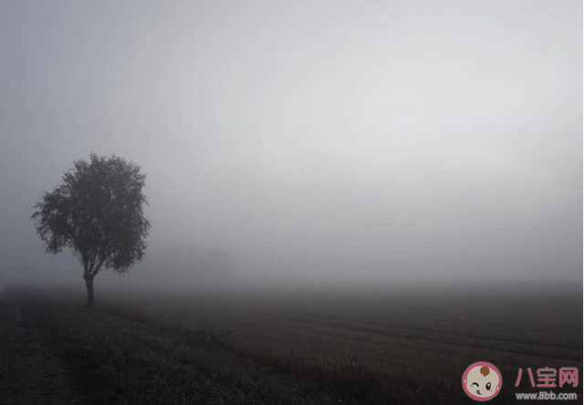 早上有大雾的说说句子 早晨大雾的说说短语