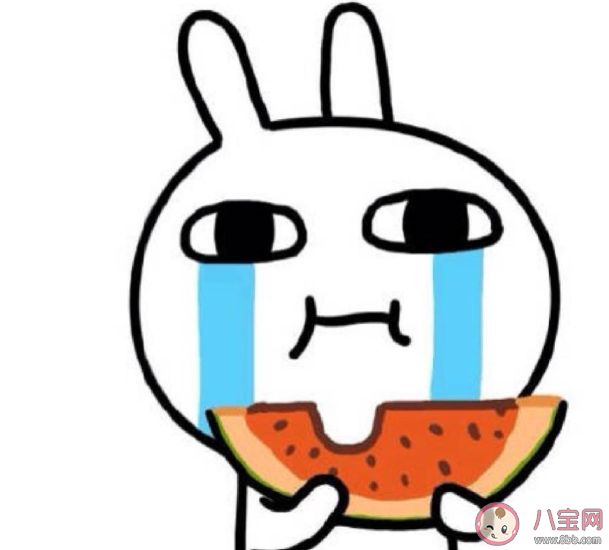 一瓜未平一瓜又起是什么意思什么梗 一瓜未平一瓜又起含义解释