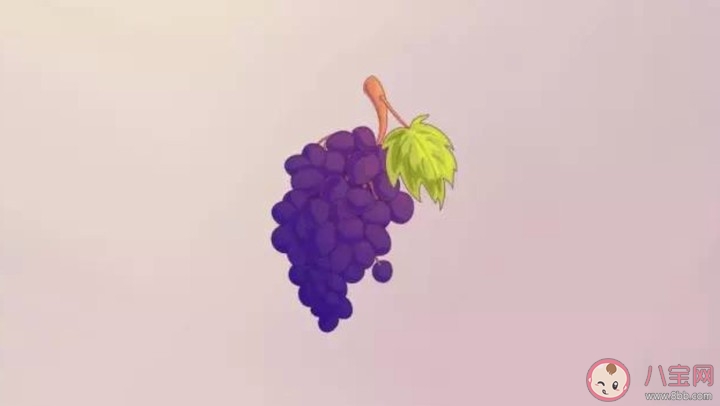 葡萄籽能直接吃吗 葡萄籽怎么吃才更好吸收