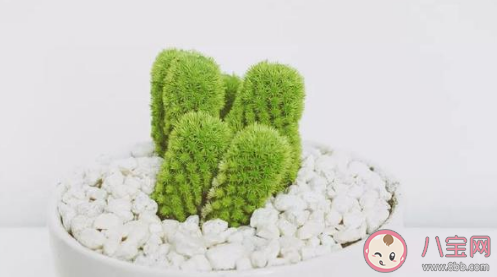 为什么有的人经常爱发朋友圈 屁大点事都发朋友圈是什么心理