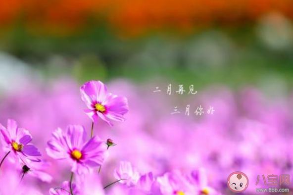 2月最后一天的心情句子 2020二月再见了的心情文案说说