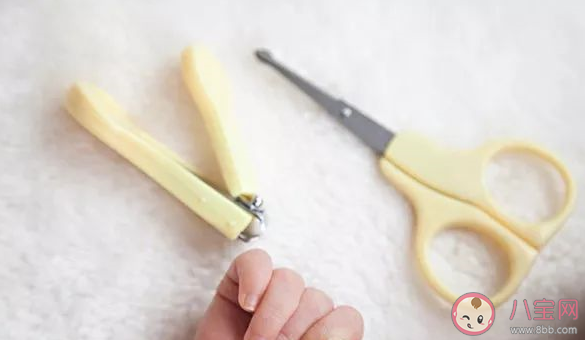 婴儿指甲钳有必要买吗 婴儿可以用大人的指甲钳吗
