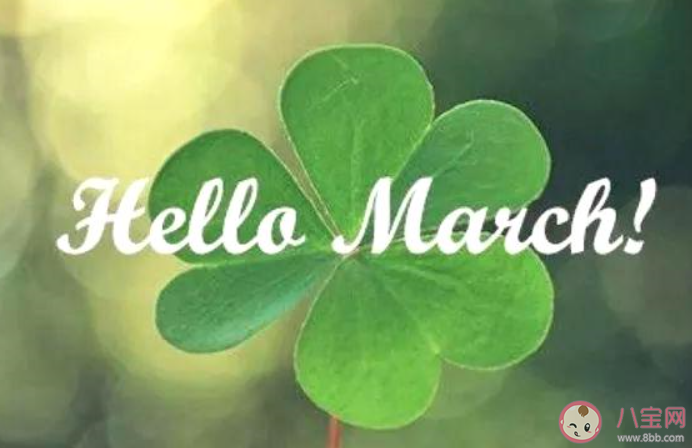 四年一次2月29日的心情文案句子 2月29日的创意文案说说大全