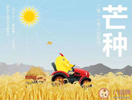 2020芒种节气发什么朋友圈好 2020关于芒种的朋友圈说说大全