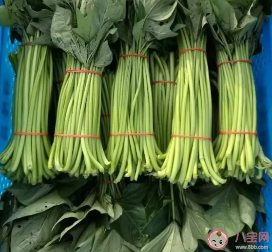 红薯翻藤有什么要求和注意事项 红薯的藤有毒吗