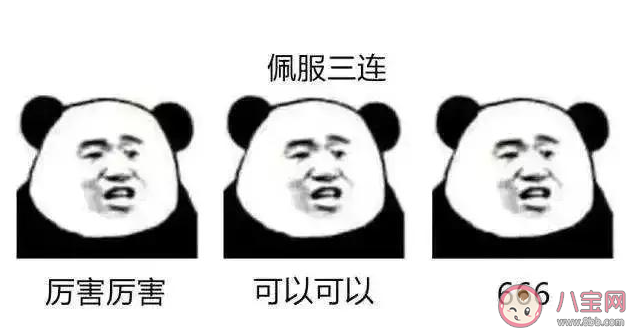饭圈拔旗是什么意思 饭圈拔旗是什么梗