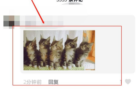 抖音五只猫摇头表情包动图 五只猫点头表情包怎么发