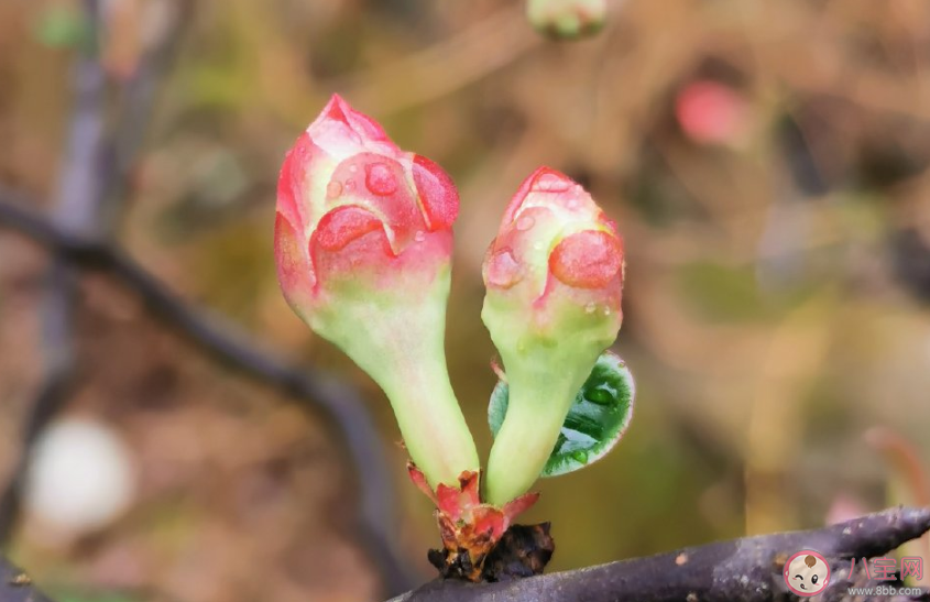 喜欢静静地听歌说说句子 关于喜欢静静地听歌的朋友圈