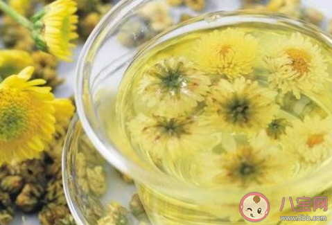 夏天适合喝什么花茶 夏天喝花茶好还是绿茶好 夏天适合喝什么花茶 夏天喝花茶好还是绿茶好