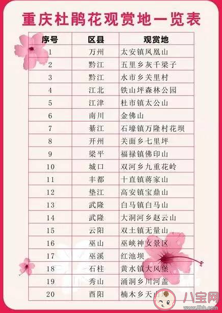 重庆杜鹃花海在哪可以看到 杜鹃花的花期是几月 重庆杜鹃花海在哪可以看到 杜鹃花的花期是几月