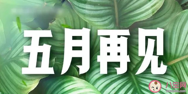 2020五月最后一天的朋友圈文案句子 五月最后一天的正能量励志句子 2020五月最后一天的朋友圈文案句子 五月最后一天的正能量励志句子