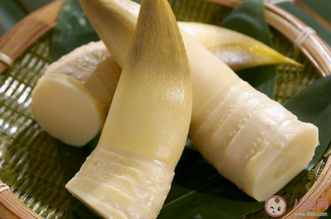 吃春笋会导致胃出血吗 哪些人不适合吃笋