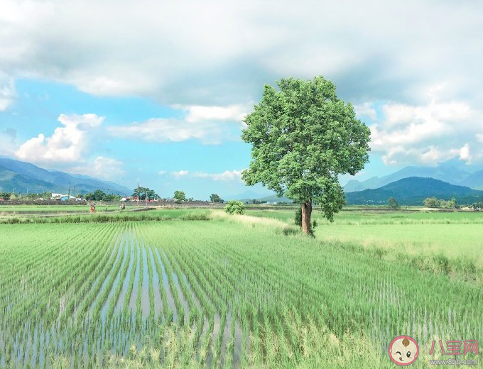 喜欢静静地听歌说说句子 关于喜欢静静地听歌的朋友圈