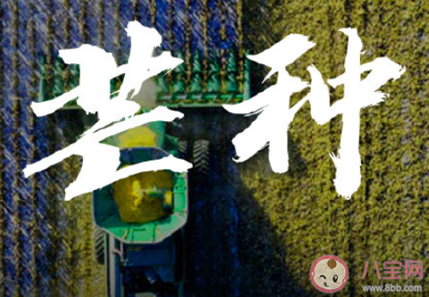 芒种早安文案句子2020 芒种节气早安语录说说