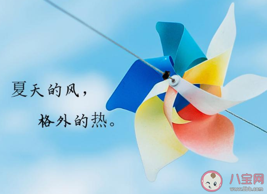 适合立夏节气发朋友圈的文案说说2020 立夏节气朋友圈个性文案合集2020