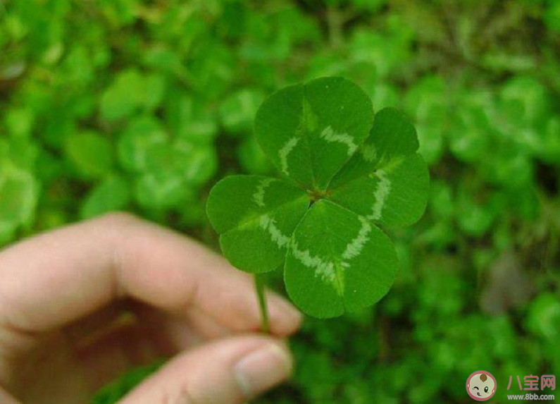 有哪些事后知后觉感到庆幸 最让人感到幸运的十件事