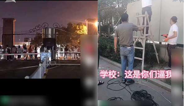 铁皮一焊爱情就断是什么梗 铁皮一焊爱情就断梗的出处是什么