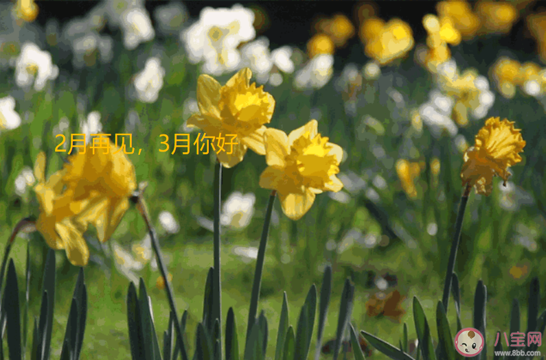 二月再见三月你好朋友圈文案句子大全 二月再见三月你好朋友圈说说句子 二月再见三月你好朋友圈文案句子大全 二月再见三月你好朋友圈说说句子