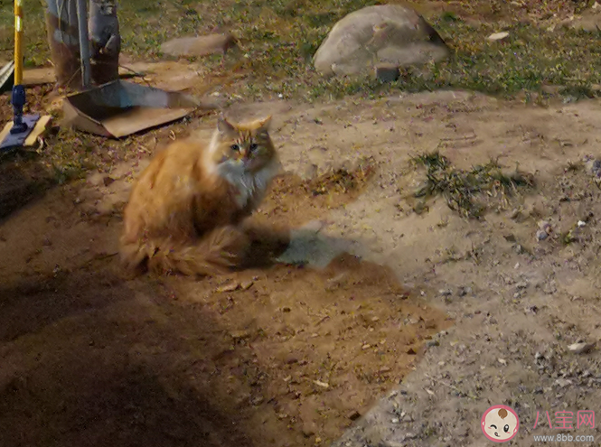 健身太难了说说朋友圈 健身太难了句子感慨