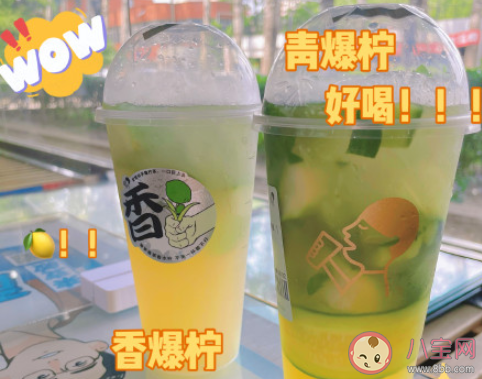 喜茶爆柠茶好喝吗 爆柠茶哪款最好喝