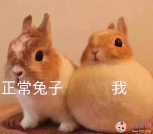 想一觉睡到天亮感慨心情 想一觉睡到天亮朋友圈句子