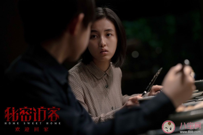 《秘密访客》讲述了什么故事 《秘密访客》好看吗