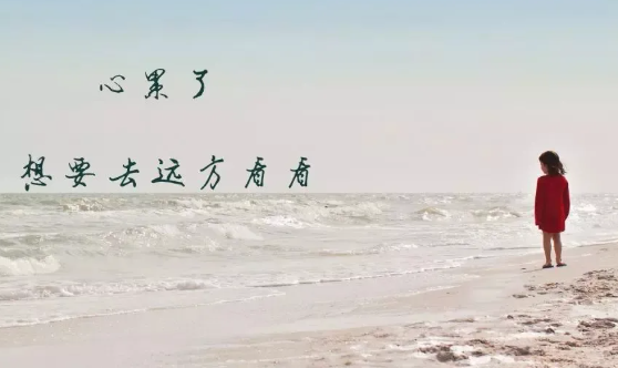 抖音五只猫摇头表情包动图 五只猫点头表情包怎么发