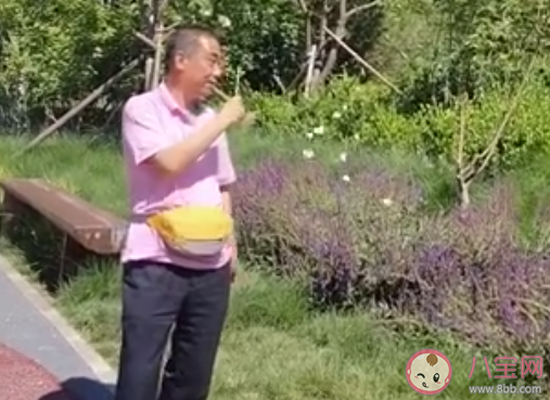 没想到蝴蝶也能溜是什么梗   为什么蝴蝶会被纸蝴蝶吸引