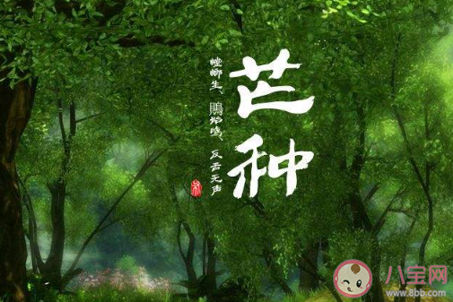 适合芒种发的朋友圈文案大全2020 芒种节气朋友圈个性文案句子