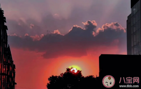 有哪些充满少年感的句子 少年感积极向上句子大全