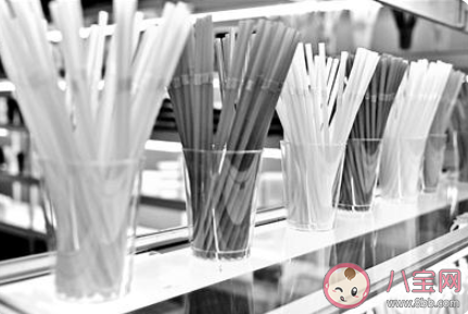 北京将禁用一次性塑料咖啡搅拌棒是真的吗 塑料垃圾造成了哪些危害