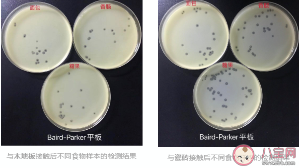 食物掉地上5秒内捡起还能吃吗 掉地上的食物多久会有细菌 食物掉地上5秒内捡起还能吃吗 掉地上的食物多久会有细菌