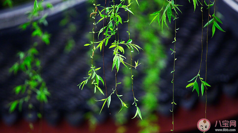 成年人恋爱相处方式是什么样的 成年人恋爱应该怎么相处